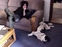 Steve S. and Abby