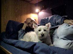 T.L. & Sherlock in Bunk