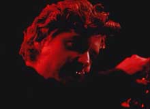 Chris Botti
